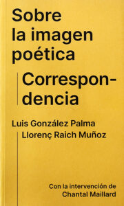 Luis González Palma